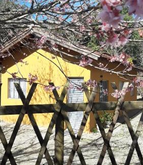 Santo Antonio do Pinhal Casa | Casa Kiiro, um ambiente tranquilo e de sossego.