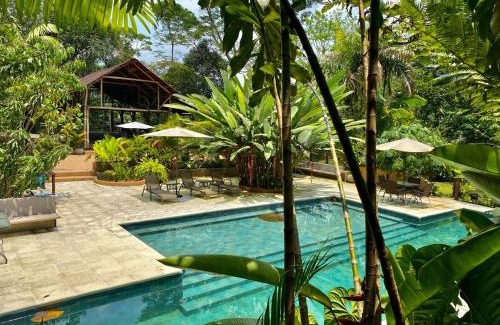 Coffee Triangle Cabina | Casa Kiwi Lodge