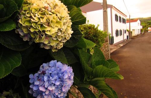 Lajes das Flores Apartamento | Casa L&M