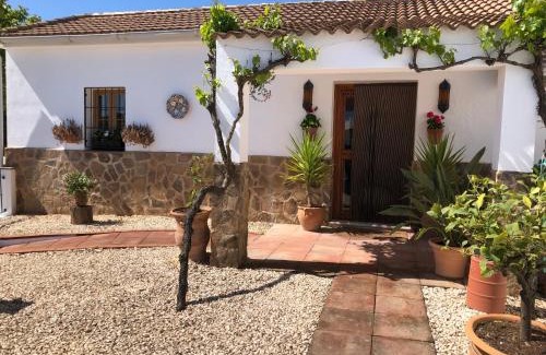 Villanueva de Tapia Cama Y Desayuno | Casa La Alegria 37