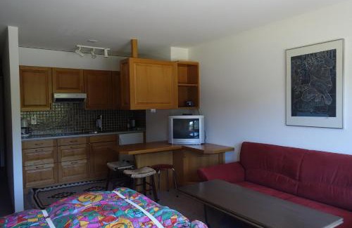 Sedrun Apartamento | Casa La Foppa 28