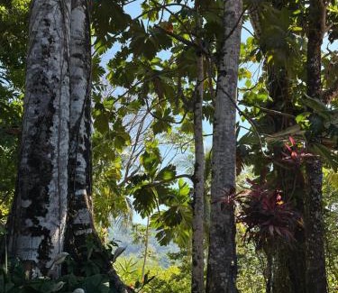 Palenque Hotel | Casa Lakyum