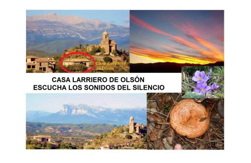 Olson Casa | Casa Larriero de Olsón