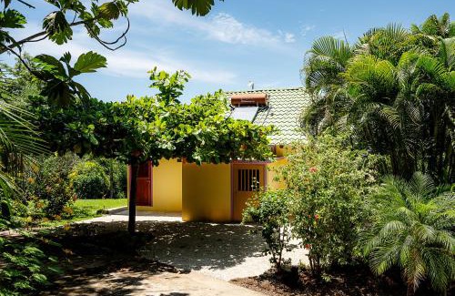 Bejuco Cama Y Desayuno | Casa Laureles