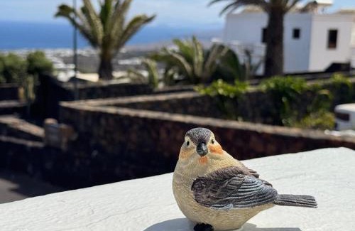 La Asomada Apartamento | Casa Layka, con maravillosas vistas al mar