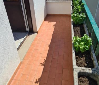San Giovanni-Chiadino-Rozzol Apartamento | Casa Lisa
