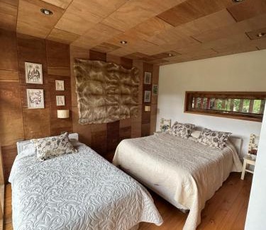 Neltume Casa | Casa Llallalca
