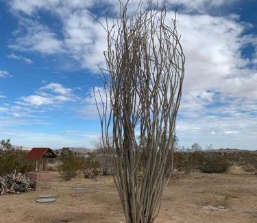 Yucca Valley Casa | Casa Luna Vista