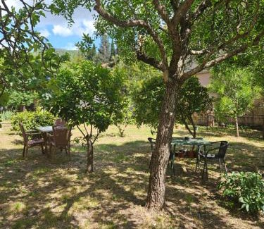 Tomicici Apartamento | Casa M 1