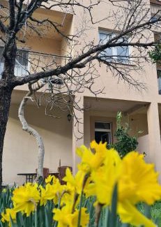 Tomicici Apartamento | Casa M