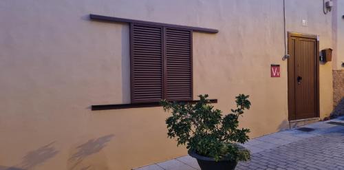 Agüimes Casa | Casa Mamatita