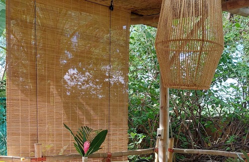 Tamarindo Casa | CASA MAPACHE