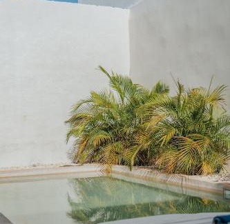 Barrio de Santiago Casa | Casa Mara 53 Luxury House in downtown Mérida