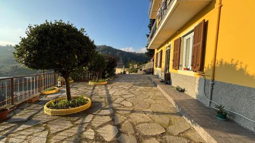 Serra Ricco Casa | Casa Maria