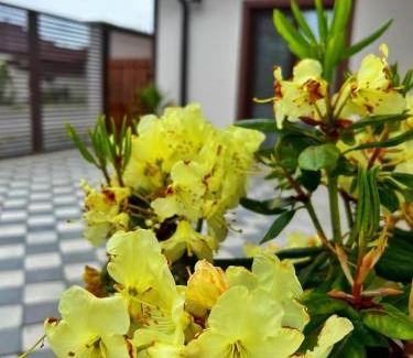 2 Mai Casa | Casa Maria