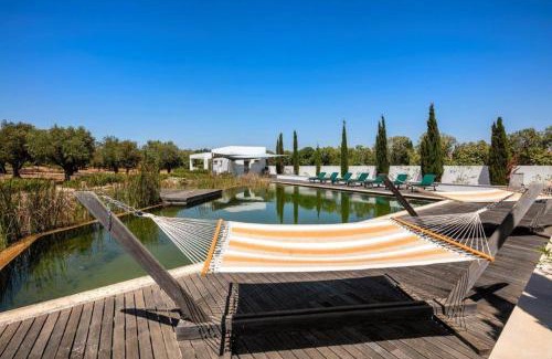 Calicas Villa | Casa Mariposa Ocean view guest house villa