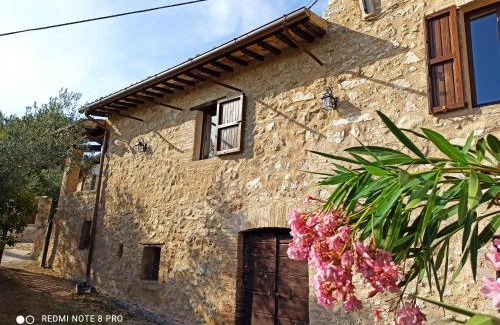 Matigge Casa | Casa Matigge
