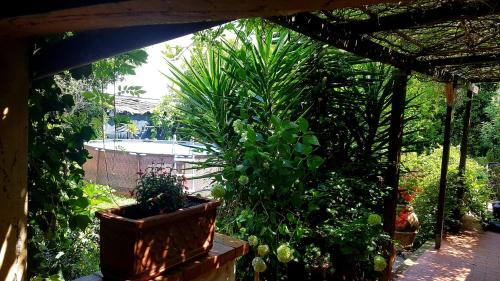 Torre del Lago Puccini Casa | Casa Maya con giardino privato