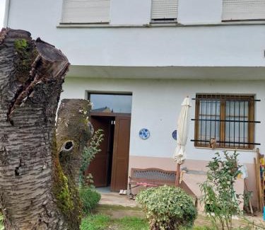 Arborbuena Casa | Casa MaySa