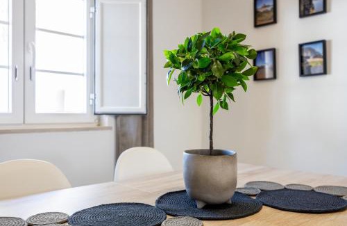 Vila do Bispo Apartamento | Casa Memória