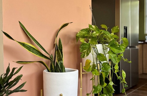 Fraccionamiento Revolución Apartamento | Casa Membrillo en Tlaquepaque cerca del Aeropuerto de Guadalajara