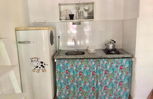 Ze Amandio Cabina | Casa Mico Leão Dourado