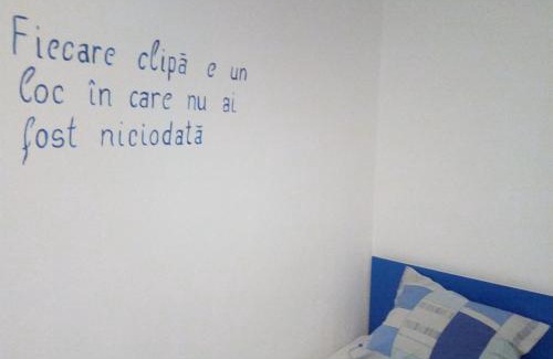 Baile Herculane Casa | Casa MILOS SI FIUL