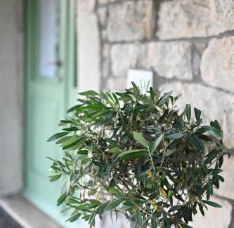 Buzet Apartamento | Casa Miro