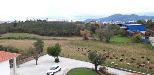 Balocas Casa | Casa Moiano