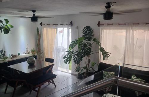 Valle de Banderas Casa | Casa Monstera te espera