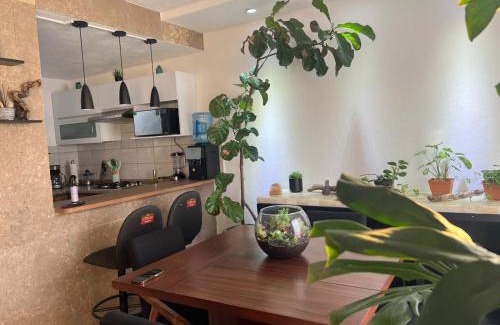 Valle de Banderas Casa | Casa Monstera te espera
