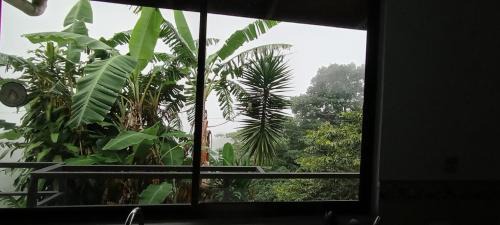 Monteverde Casa | Casa Monteverde