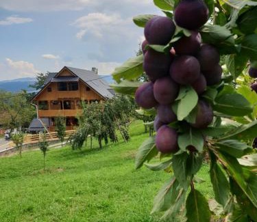 Ocna Sugatag Casa | Casa Moroșenească