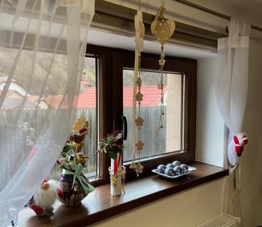 Brasov Villa | Casa Mountain view