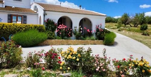 Alcalá la Real Villa | Casa Moya