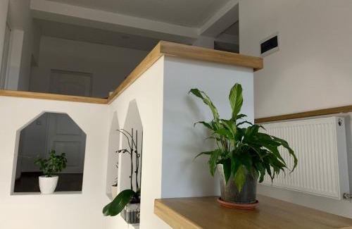 Rasnov Casa | Casa Muntelui Râșnov