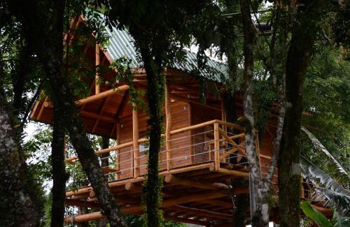 Joao Alves Casa | Casa na Árvore
