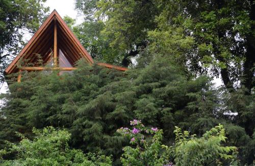 Joao Alves Casa | Casa na Árvore