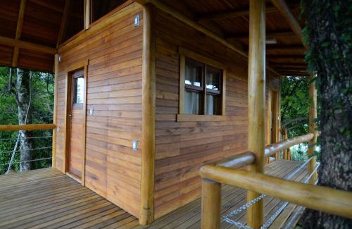 Joao Alves Casa | Casa na Árvore