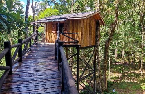Monte Verde Cabina | Casa na Árvore Monte Verde