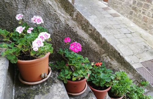 Santa Fiora Casa | Casa nel Borgo di Santa Fiora