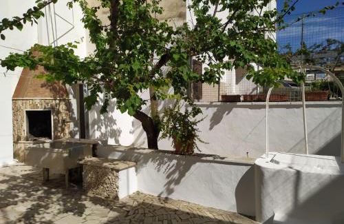 Lido Conchiglie Casa | Casa Nettuno