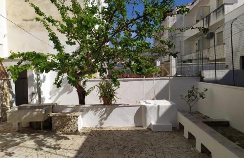 Lido Conchiglie Casa | Casa Nettuno