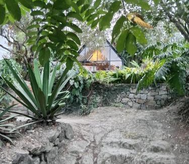 San Juancito Casa | Casa Nino: Naturaleza innovadora