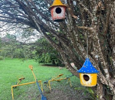 Sao Jose do Ribeirao Casa | Casa no campo