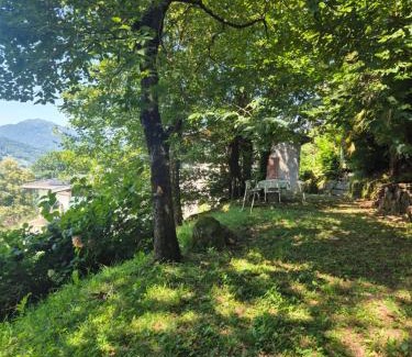 Lugano Casa | Casa Nogo