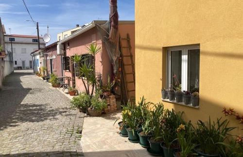 Apulia Casa | Casa Nova