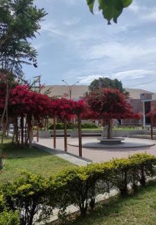 Ica Casa | Casa Oasis Meneses