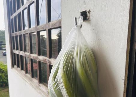 Quebrada Seca Cabina | Casa Ocho