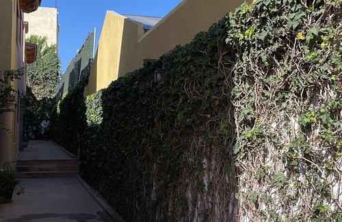 Centro Casa | Casa Olivo. Encantador lugar en Centro Tequisquiapan 6pax